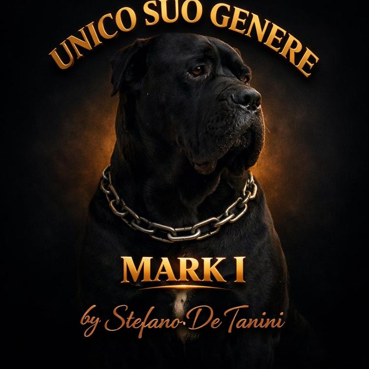 Mark I — USG Founder Archive