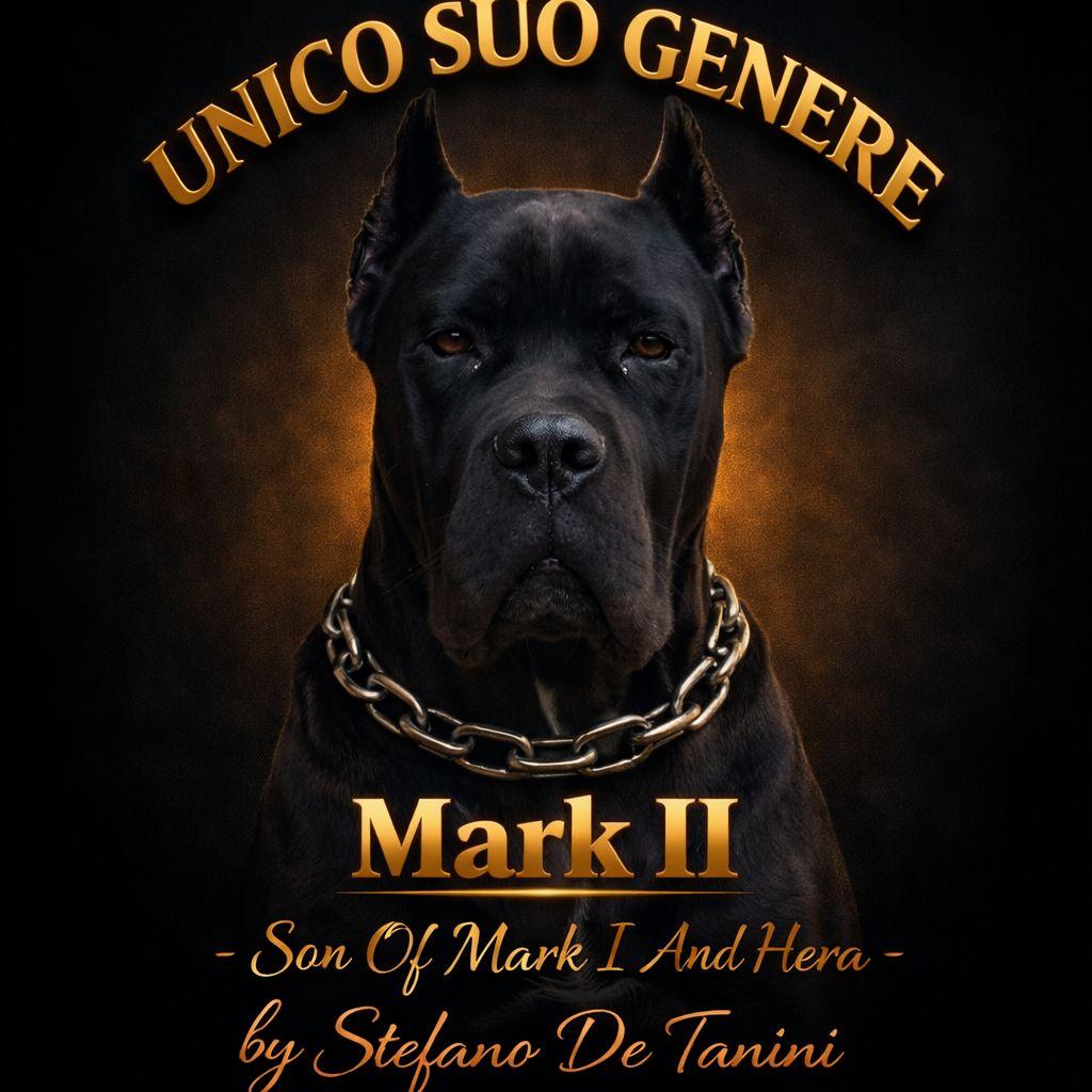 Portrait of Mark II, son of Mark I and Hera, from the personal USG archive.