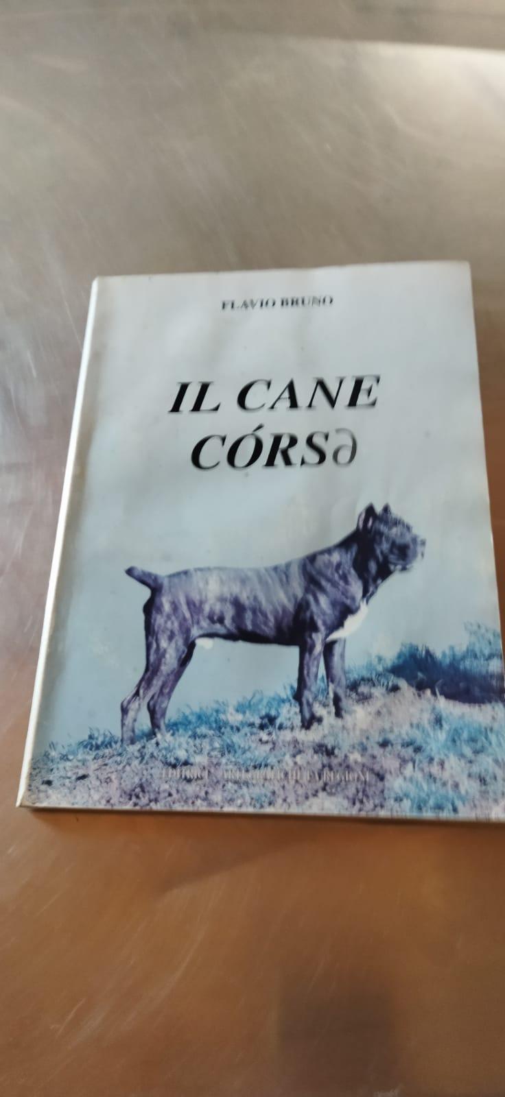 Il cane corso. Studiato nella razza, nella storia, nella famiglia e nella società