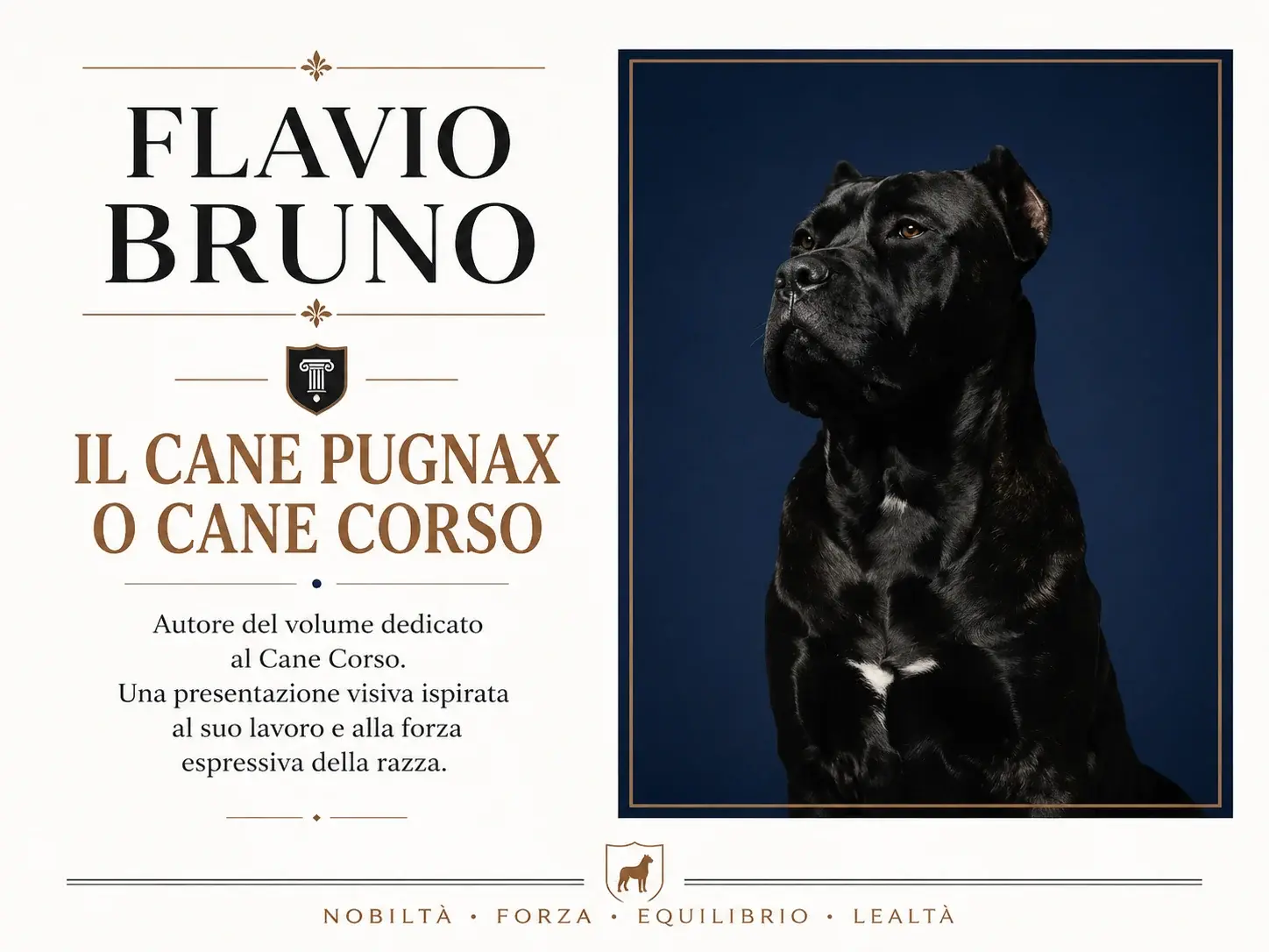 USG visual presentation inspired by Flavio Bruno’s Cane Corso work, with a noble Cane Corso portrait.