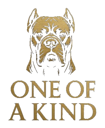 ONE OF A KIND statement