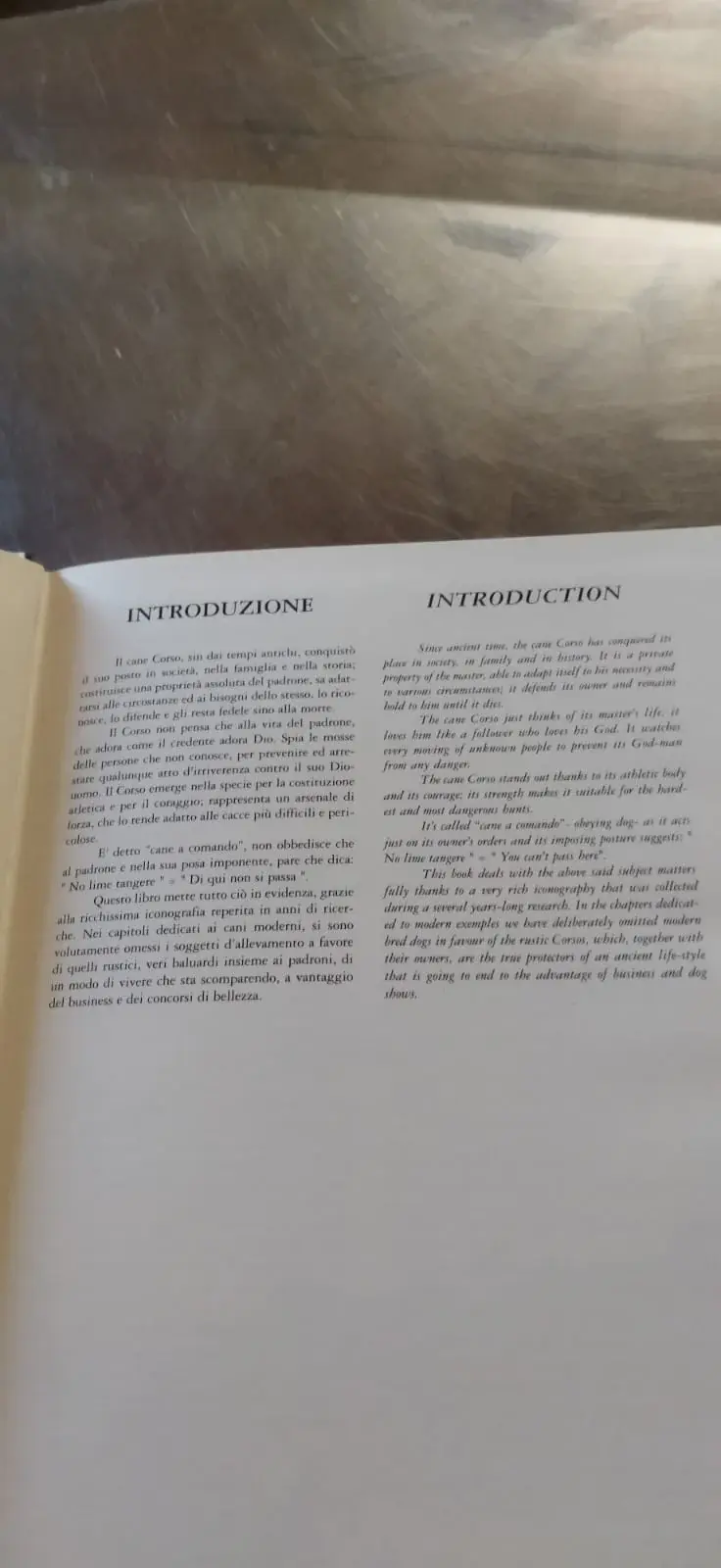Function, family, and territory