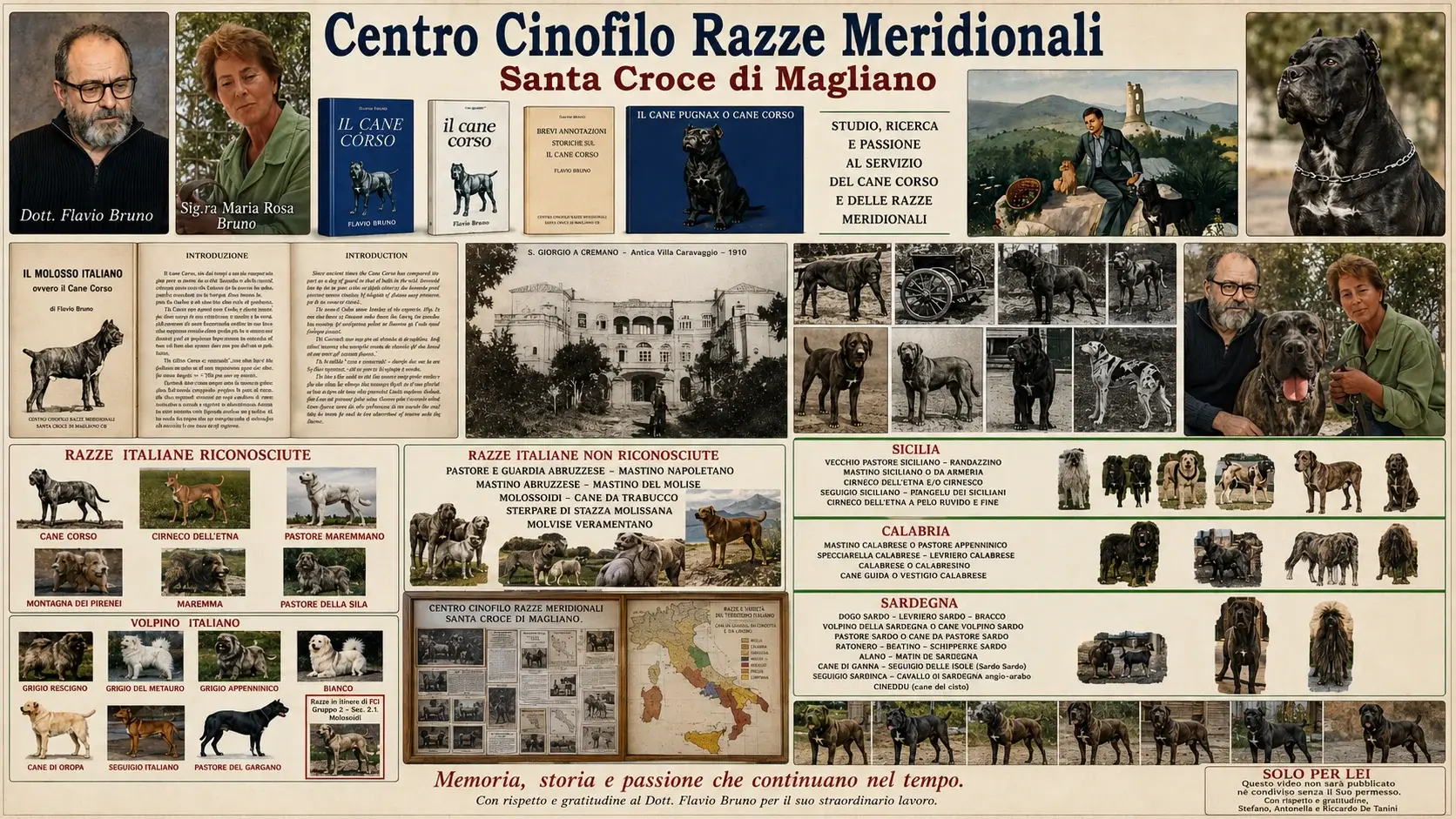 Centro Cinofilo Razze Meridionali