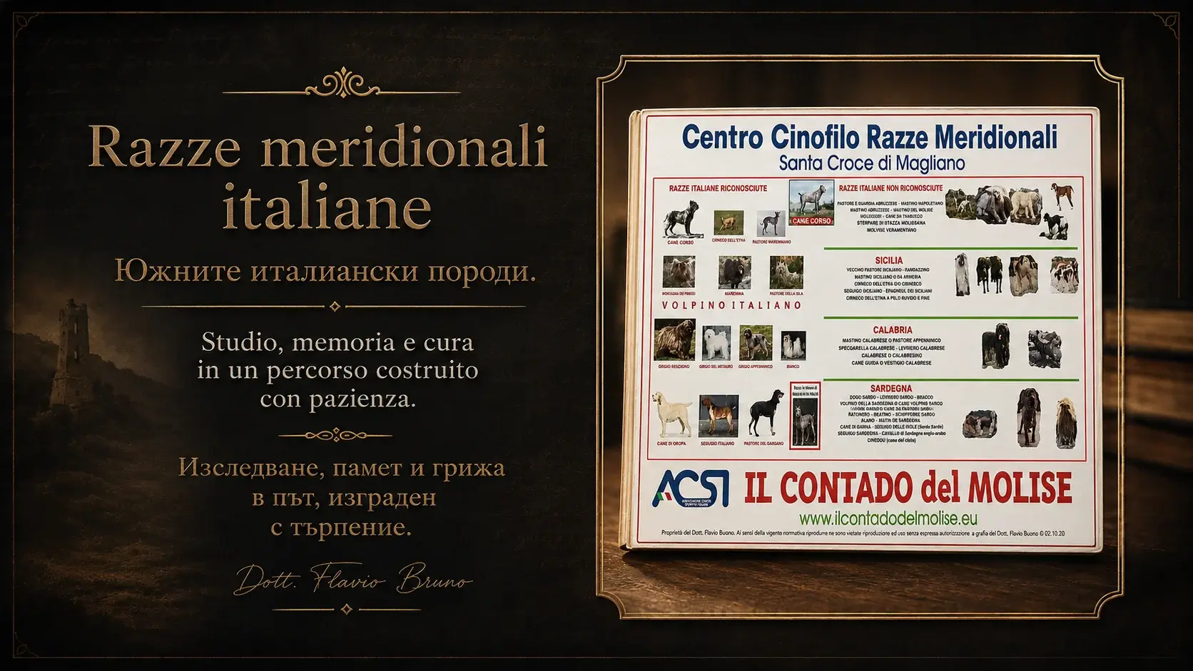 Southern Italian canine memory