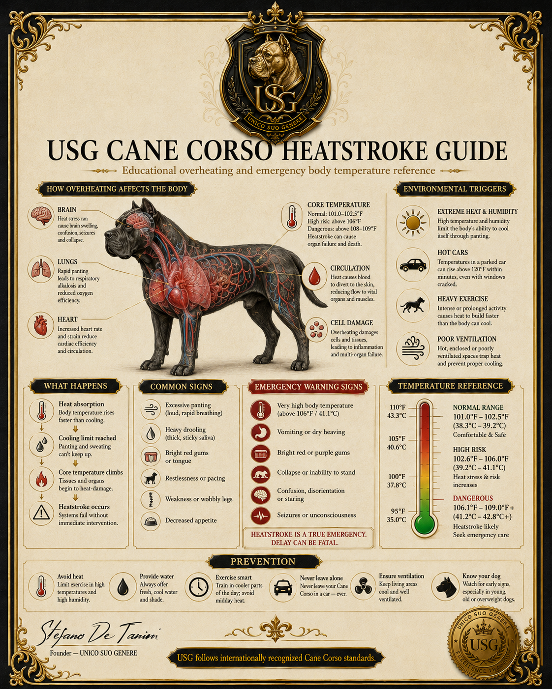 Heatstroke Prevention Guide