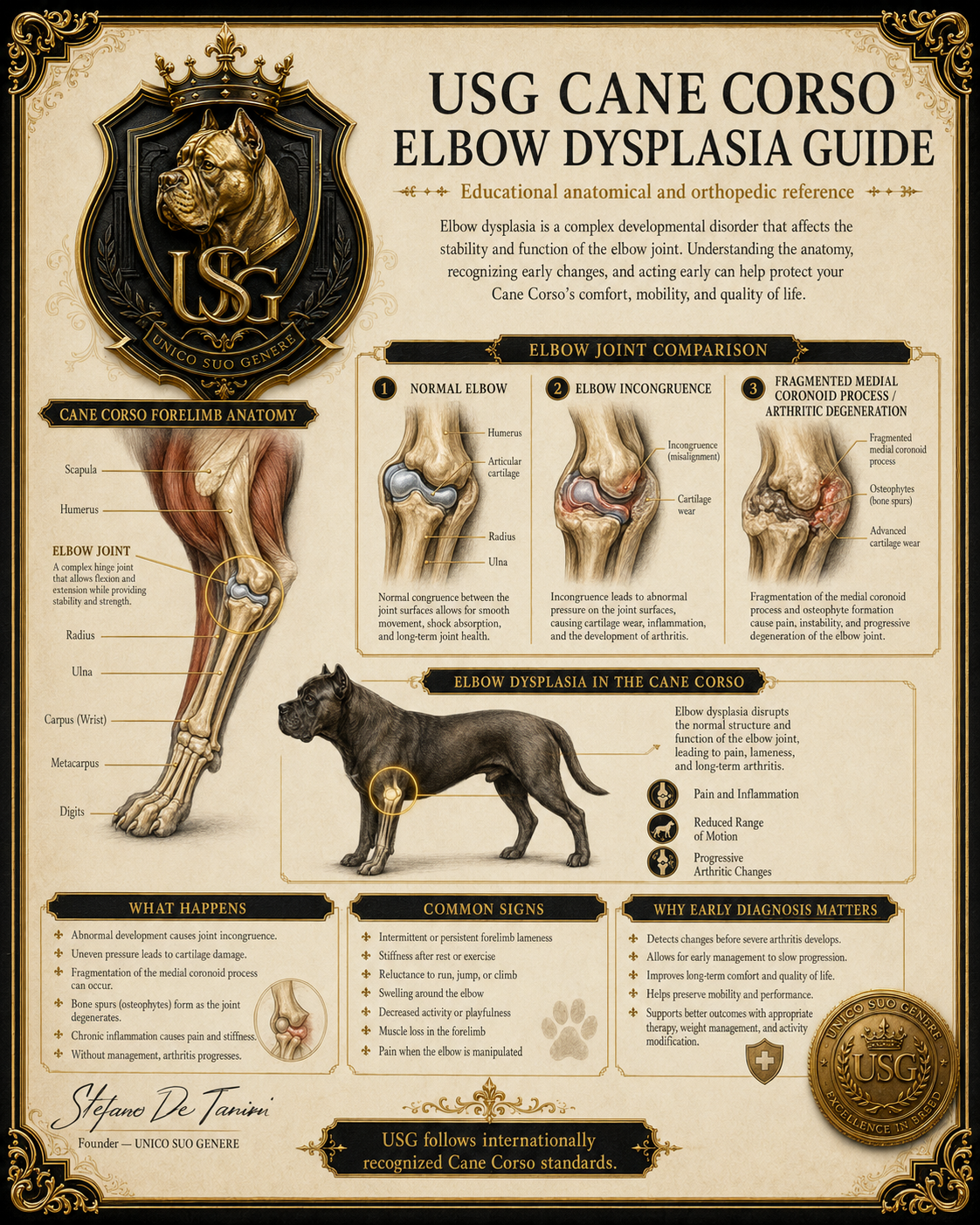 Elbow Dysplasia Guide