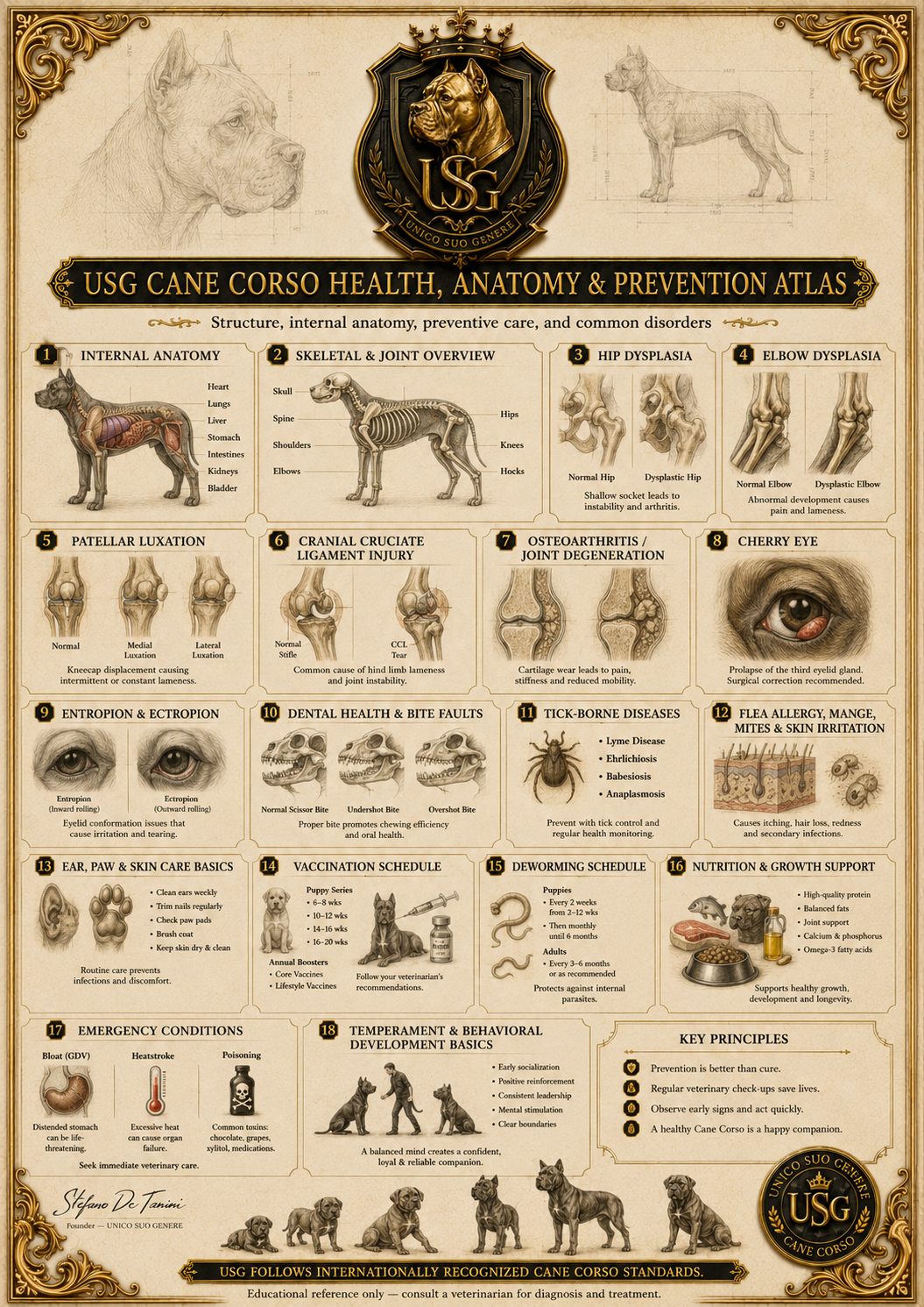 USG Health & Anatomy Atlas