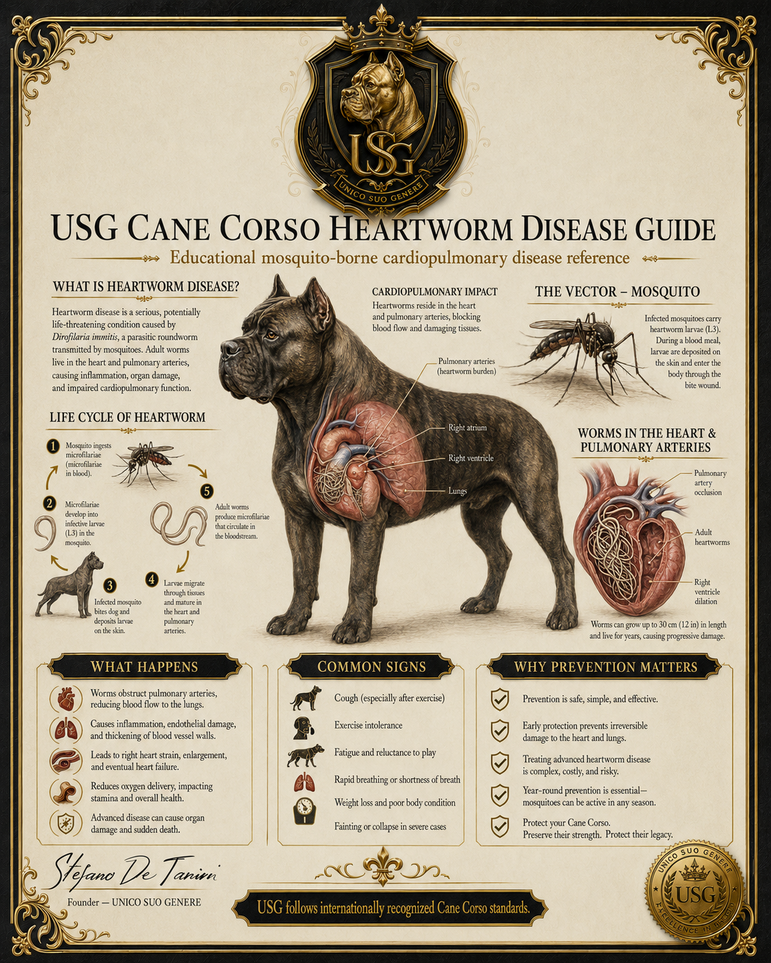 Heartworm Disease Guide