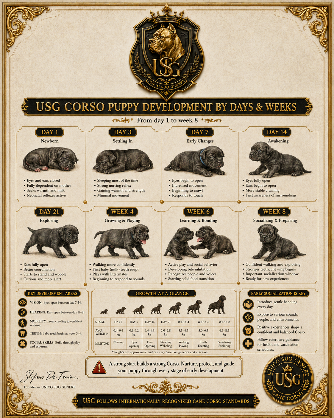 Puppy Development by Days & Weeks